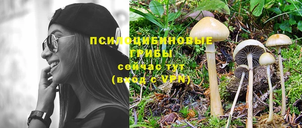 Альфа ПВП Липки