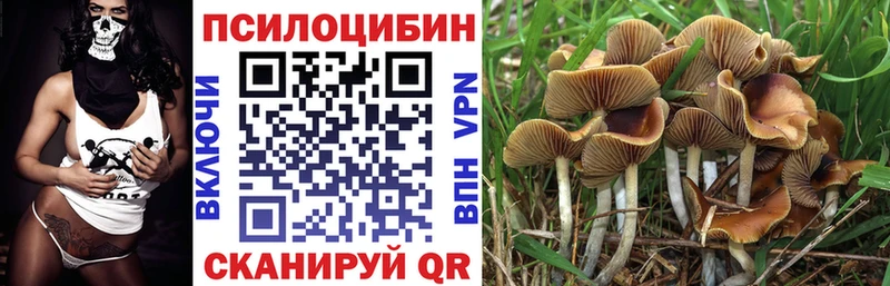 ОМГ ОМГ маркетплейс  Уссурийск  Галлюциногенные грибы Psilocybine cubensis 