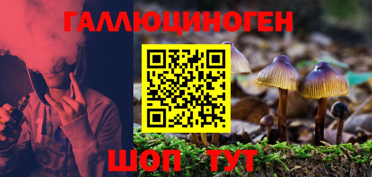 хочу   Галлюциногенные грибы прущие грибы  Вход с VPN  Уссурийск 